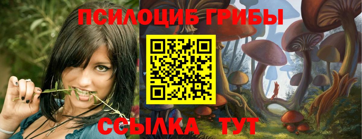 Псилоцибиновые грибы мицелий  Вход с VPN  Тавда 