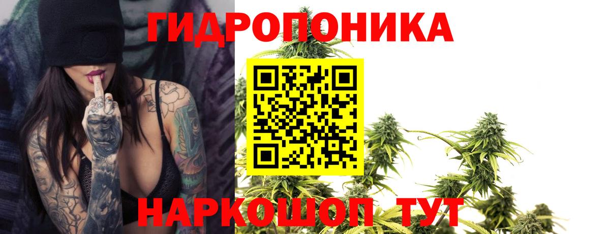 Бошки марихуана план  Каннабис Ganja  Марихуана White Widow  Тавда  Вход с VPN  Бошки марихуана гибрид 